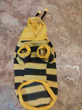 Толстовка Пчела. Одежда Для животных. Донецк
