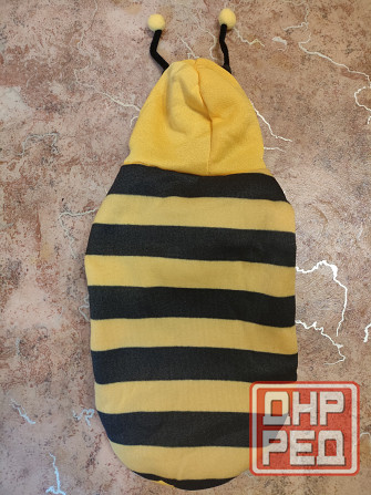 Толстовка Пчела. Одежда Для животных. Донецк - изображение 2