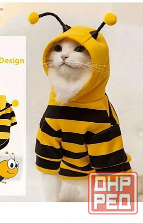 Толстовка Пчела. Одежда Для животных. Донецк - изображение 1