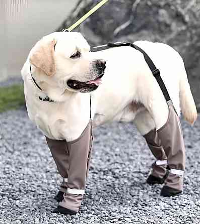 Сапожки для собак на подтяжках Донецк