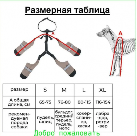 Сапожки для собак на подтяжках Донецк