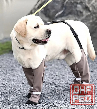 Сапожки для собак на подтяжках Донецк - изображение 1