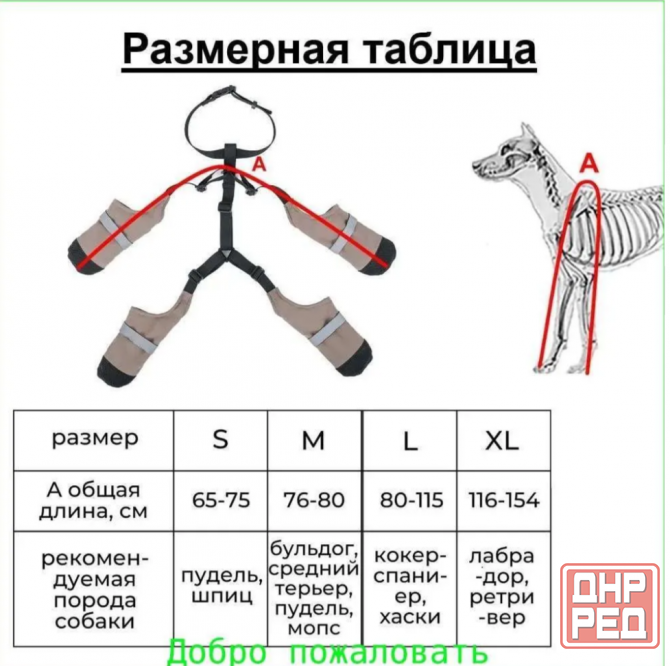 Сапожки для собак на подтяжках Донецк - изображение 2