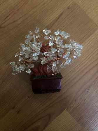 Денежное дерево Донецк