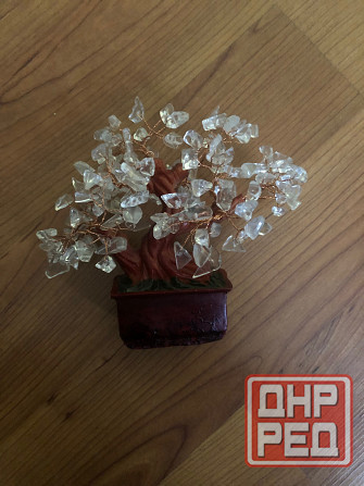 Денежное дерево Донецк - изображение 1