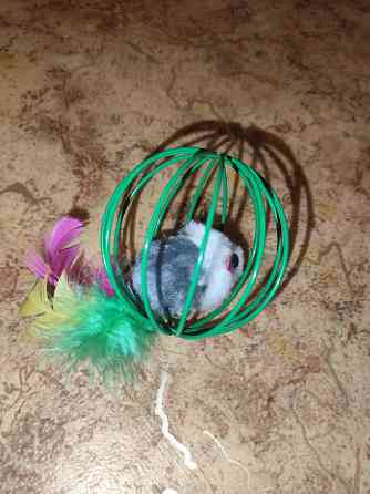 Игрушка для кошек Мышка в клетке Донецк