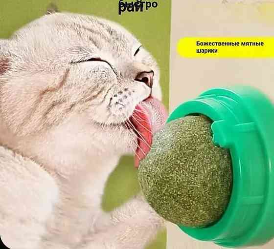Шарик с кошачьей мятой Донецк