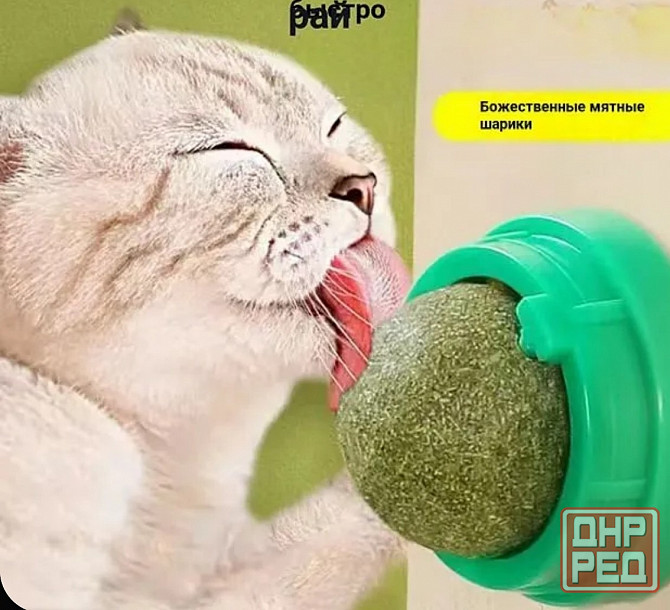 Шарик с кошачьей мятой Донецк - изображение 1