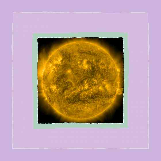 куры Дмитрия Василича, строю Донецк