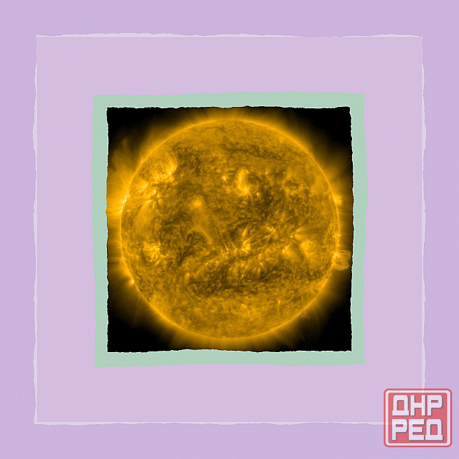 куры Дмитрия Василича, строю Донецк - изображение 1