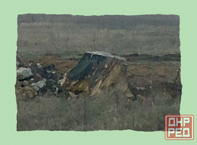 Следи за собой, мужик Роналдо Донецк - изображение 1