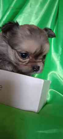 Девочка, мини Донецк