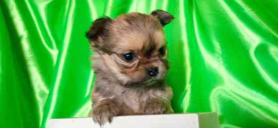 Девочка, мини Донецк