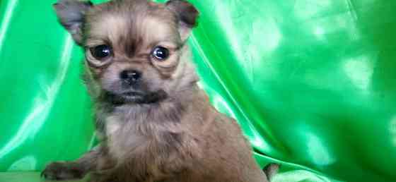 Девочка, мини Донецк