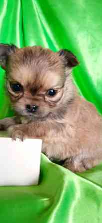 Девочка, мини Донецк