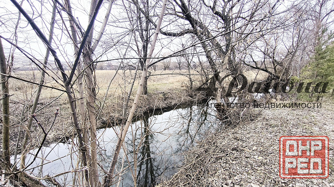 Участок 25 сот Веселая Тарасовка Луганск - изображение 4