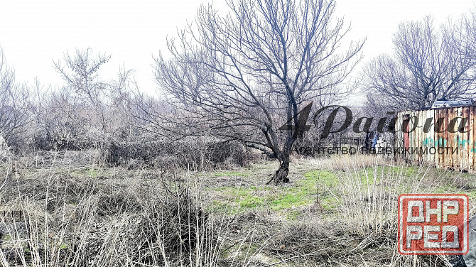 Участок 25 сот Веселая Тарасовка Луганск - изображение 3