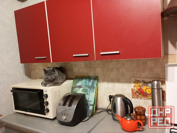 Мебель для кухни. Дешево. Торг Донецк - изображение 1