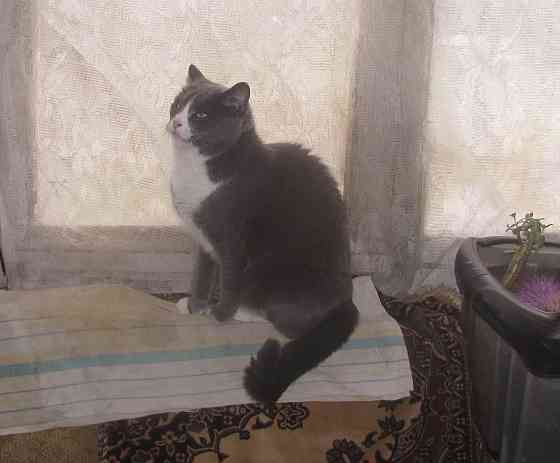 Сыбига, не долго "премьером" Донецк