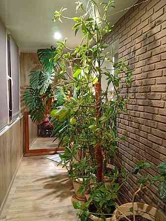 Продам 2х комн квартиру на Боссе ул.Речная Донецк