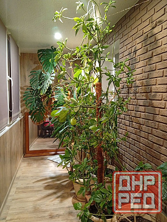 Продам 2х комн квартиру на Боссе ул.Речная Донецк - изображение 1