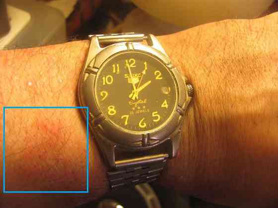 Сейко 5, неделя на "проверку" Донецк