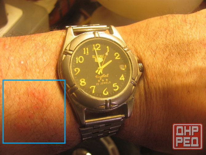 Сейко 5, неделя на "проверку" Донецк - изображение 1