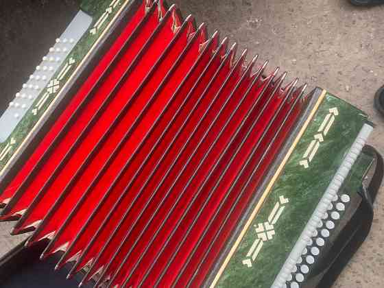 Баян в футляре в отличном состоянии Донецк