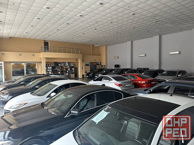 Аренда автосалона Донецк - изображение 1