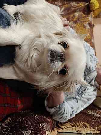 Ищем мальчика для принцессы Донецк