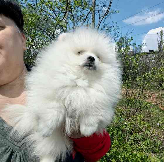 Счастье в дом на долкие годы Донецк