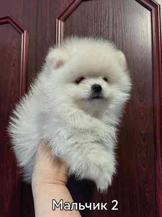 Счастье в дом на долкие годы Донецк