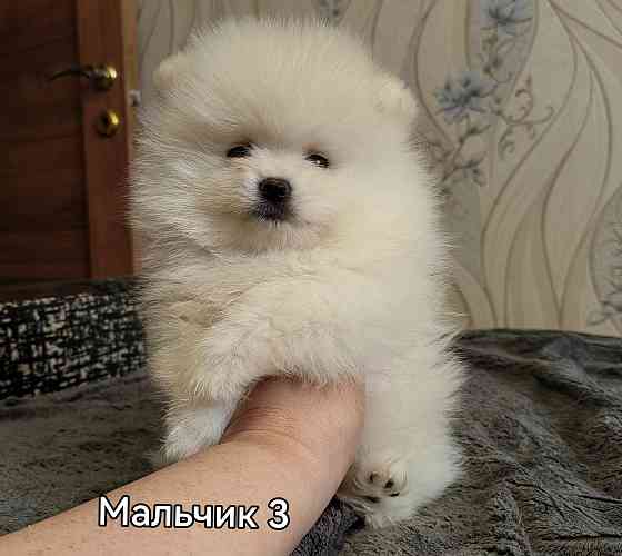 Счастье в дом на долкие годы Донецк