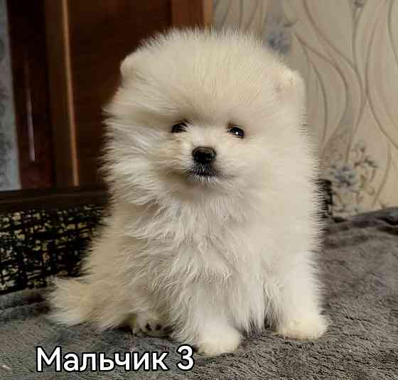 Счастье в дом на долкие годы Донецк