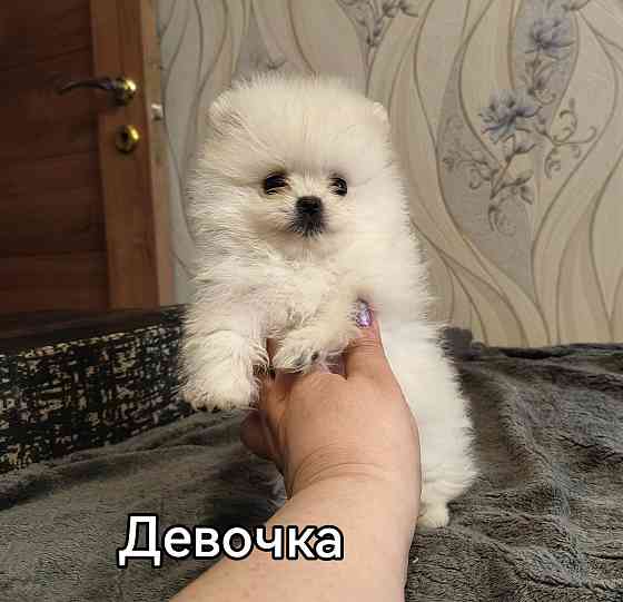 Счастье в дом на долкие годы Донецк