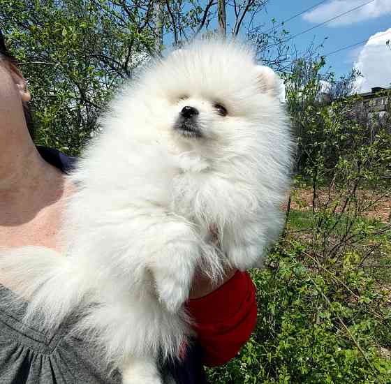 Счастье в дом на долкие годы Донецк