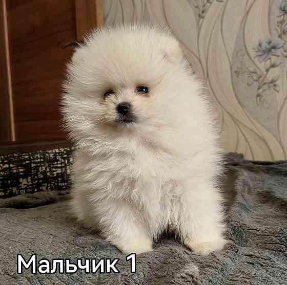 Счастье в дом на долкие годы Донецк