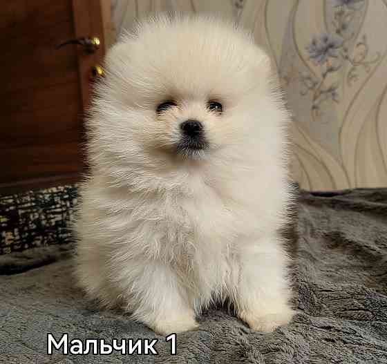 Счастье в дом на долкие годы Донецк