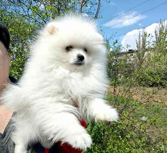Счастье в дом на долкие годы Донецк