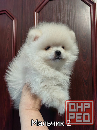 Счастье в дом на долкие годы Донецк - изображение 1