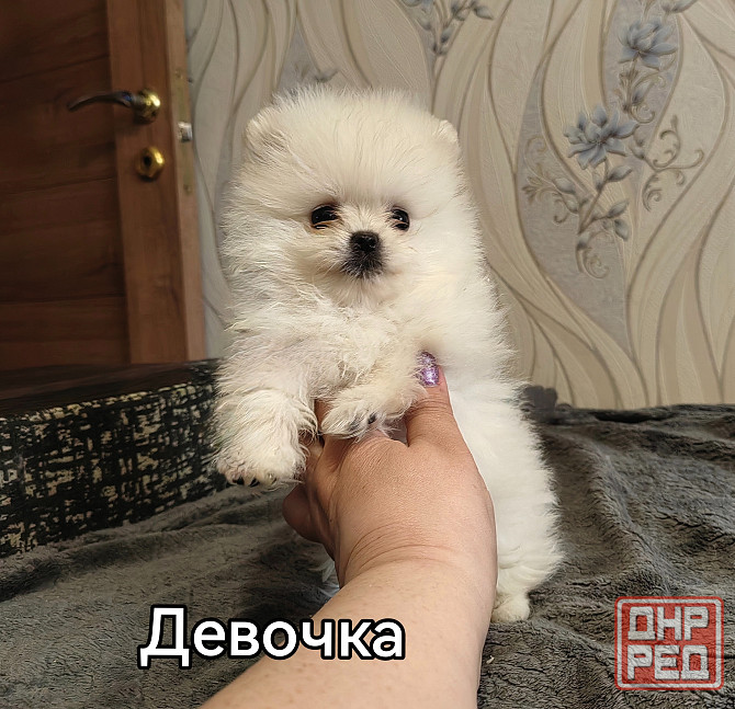 Счастье в дом на долкие годы Донецк - изображение 7