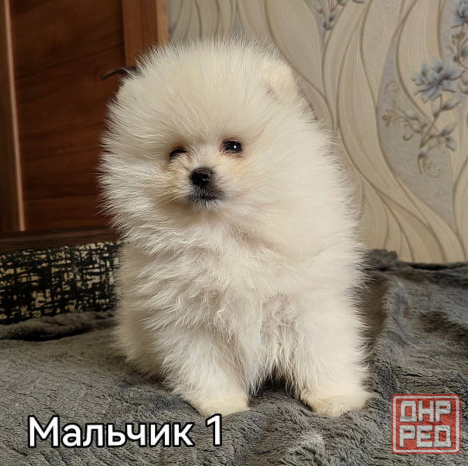 Счастье в дом на долкие годы Донецк - изображение 6