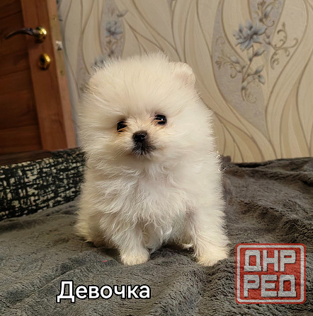 Счастье в дом на долкие годы Донецк - изображение 8