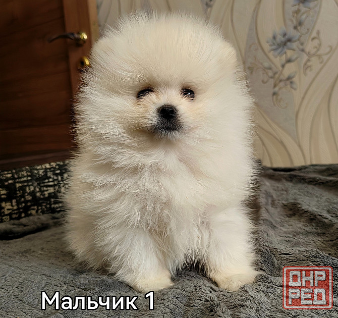 Счастье в дом на долкие годы Донецк - изображение 5