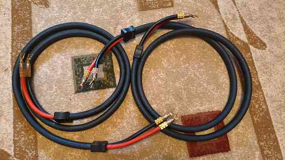 PS Audio Xstream Statement Донецк