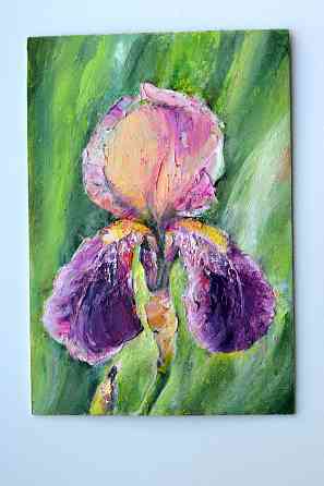 Купить картину маслом "Ирис" весенняя распродажа картин, 1000 р., размер 21*14,5цветы Донецк