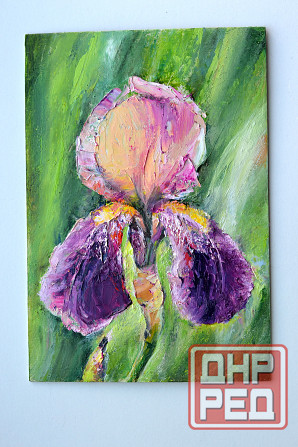 Купить картину маслом "Ирис" весенняя распродажа картин, 1000 р., размер 21*14,5цветы Донецк - изображение 1