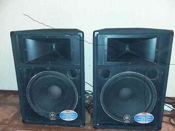 Акустическая система Донецк