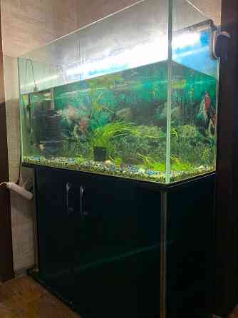 Аквариум на 200 литров Донецк