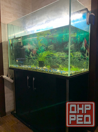 Аквариум на 200 литров Донецк - изображение 1